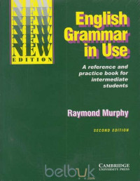 Image of English Grammer In Use